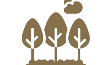 related-corporate-sustainability-square-trees-icon.png