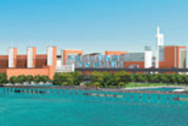 News and Press - Bronx Terminal Market 155x119.jpg