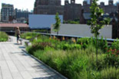 News and Press - Highline 155x119.jpg