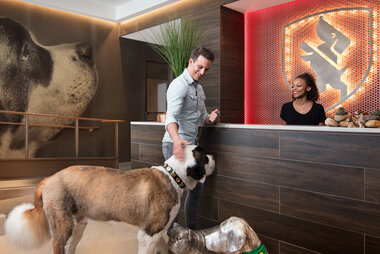 related-corporate-history-square-2010s dog city.jpg