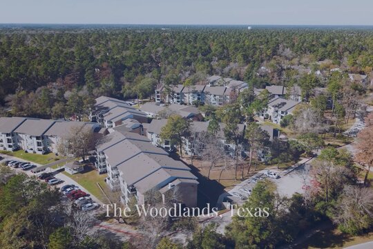 The Woodlands, Texas