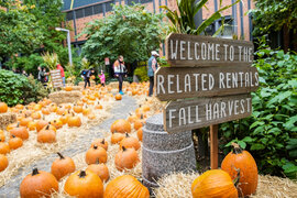 related-corporate-blog-landscape-fall-harvest-2022-dsc00895.jpg