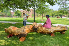 related-corporate-blog-landscape-ll pic ms mary.jpg