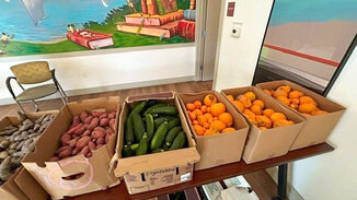 related-corporate-affordable-landscape-peoples-program-grocery-distribution.jpg