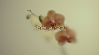 related-corporate-hospitality-landscape-datalandmuseum_data.scent.jpg