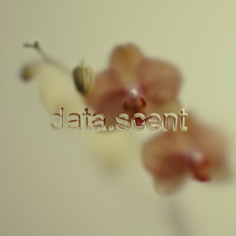 related-corporate-city-centers-square-datalandmuseum_data.scent.jpg